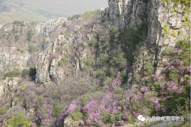 尊龙人生就是博·Z6「中国区」首页官网