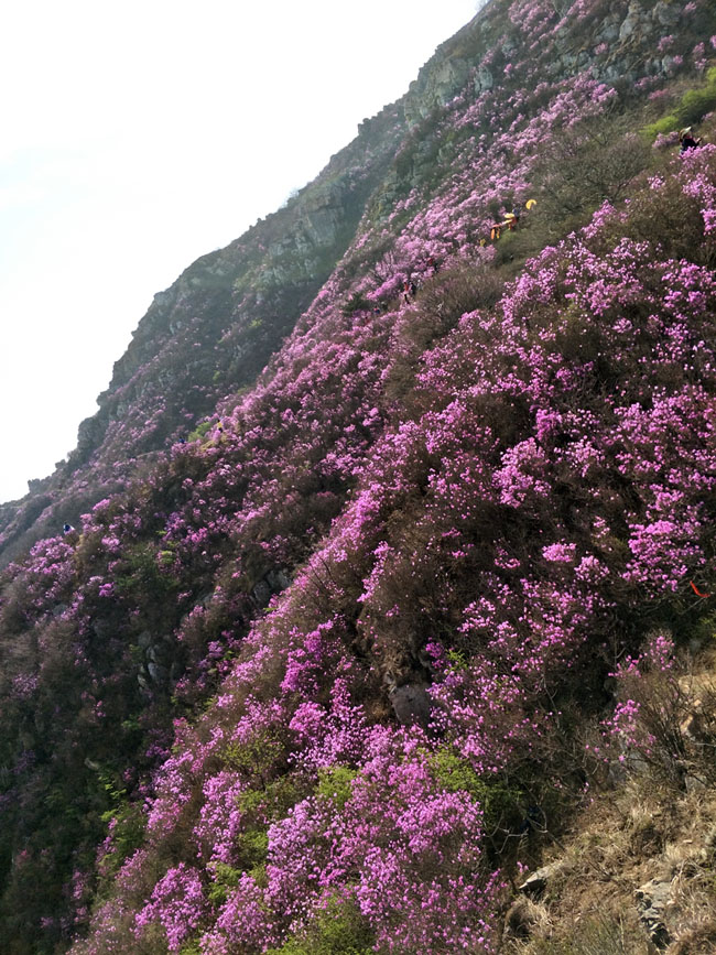 尊龙人生就是博·Z6「中国区」首页官网